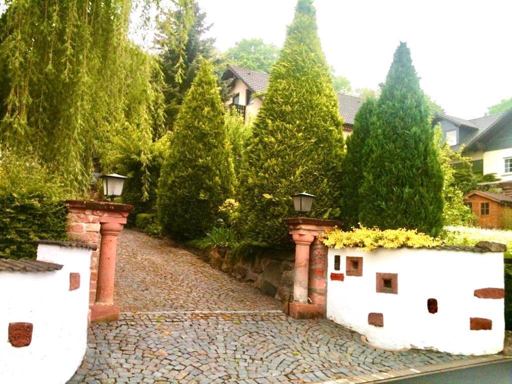 3 Loft Mit Sauna & Garten In Ortenberg Apartment