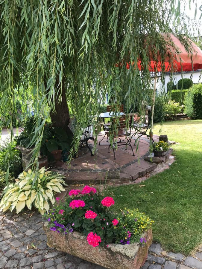 3 Loft Mit Sauna & Garten In Ortenberg